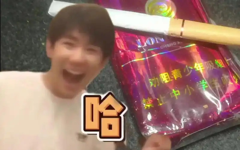 王源想抽根家乡的耙朝却被革新派丁真拷打嘲笑