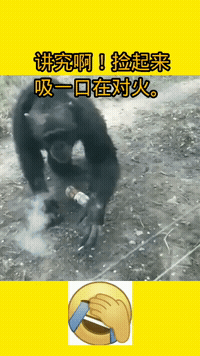 3_云贵川基本操作抠鼻2_不装了,我摊牌了我是工地干土方开单子的,有