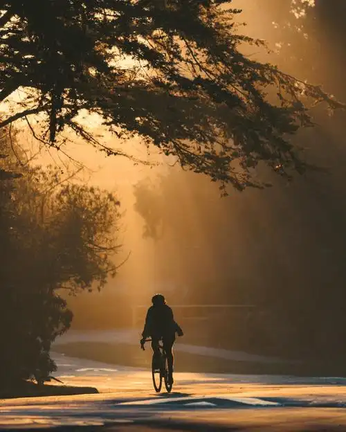 逆光摄影技巧(逆光拍摄是对着太阳拍吗)