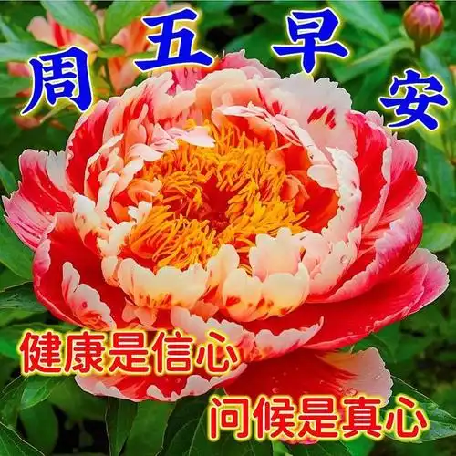 早上好漂亮祝福图片带问候语