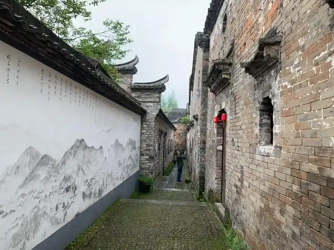 走进武义县履坦镇坛头村(2019.4.14)