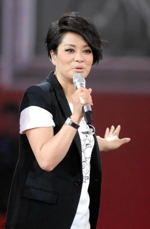 回顾歌手毛阿敏丈夫病逝后留下260亿遗产如今的选择令人泪目