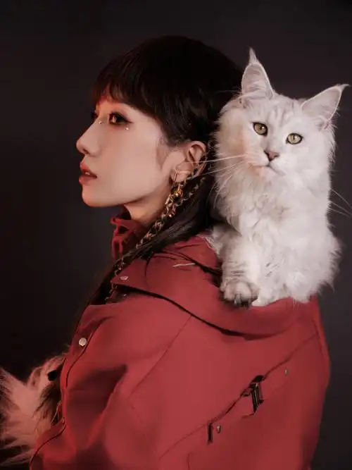 孟美岐2024夏日岐遇音乐会