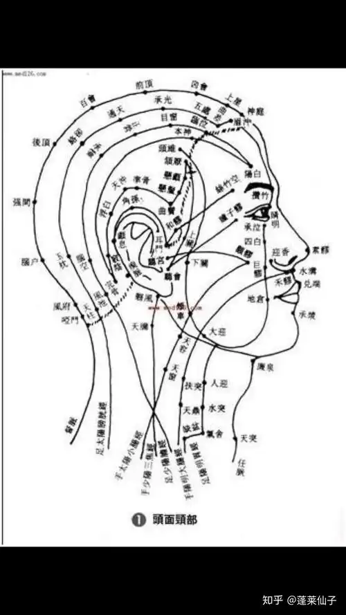 神奇的面部经络