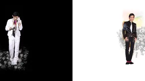 黑与白 来自 @fayee飞飞飞 微博背景