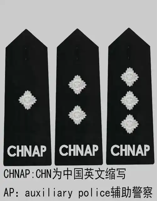我最喜欢的辅警肩章