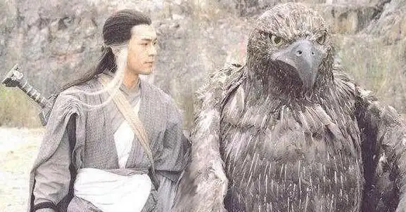 阿根廷巨鹰有多厉害身高2米翼展7米堪比飞机还没有天敌