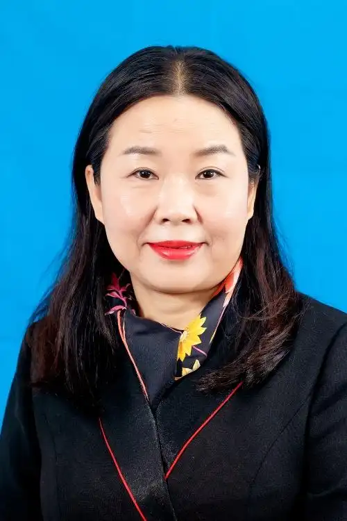 南京市建邺区人大 代表名录 张玲玲