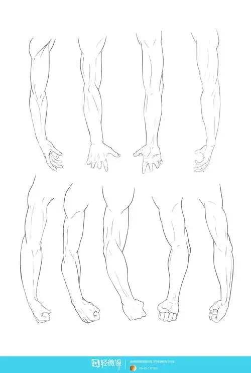 写生手臂人体体块手臂肌肉的练习