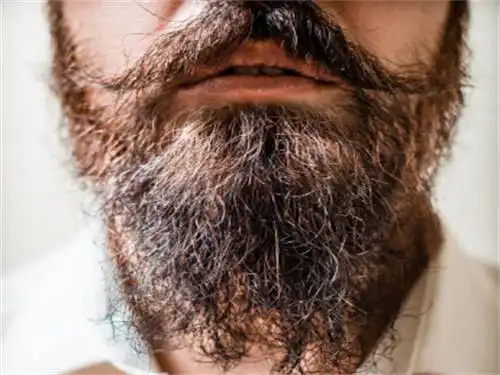 其实在日常生活中,男生的胡须是长得非常快的,因为男生的身体在年轻的