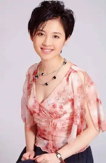 被传丈夫为她花1亿分手,挺孕肚进豪门,电视主持许戈辉现状如何_丁健