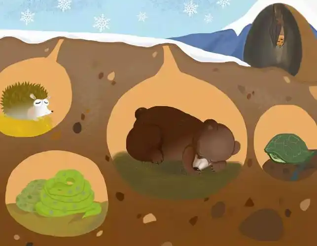 蛇冬眠时会被老鼠啃村民挖到24米冬眠蛇蛇为啥一动也不动