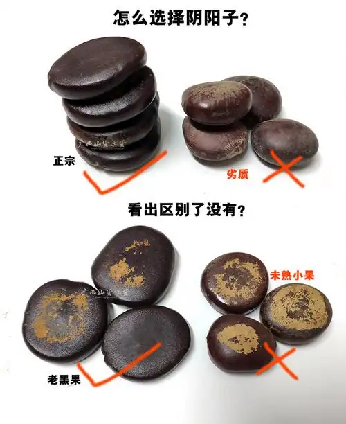 广西野生阴阳子250g肾果过江龙子木腰子泡酒料肾树宝榼藤子伊梵麦【图