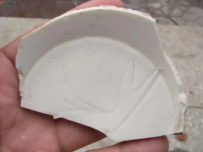 宋代 定窑划花瓷片