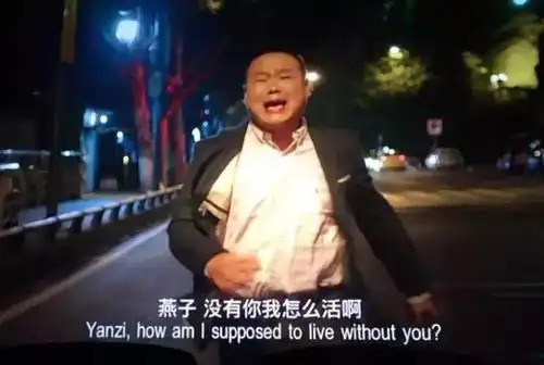 岳云鹏电影里有个叫燕子的角色是什么电影?