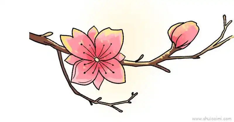 桃花儿童画怎么画桃花简笔画步骤