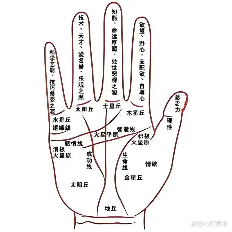 运气好不好,无名指就能看出来?不是迷信,快看你有这些特征吗?