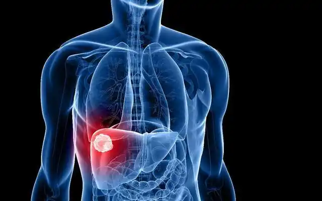 脾脏是人体非常重要的"血库",能量储存补充之地.