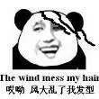 哎呦风大乱了我的发型 the wind mess my hait