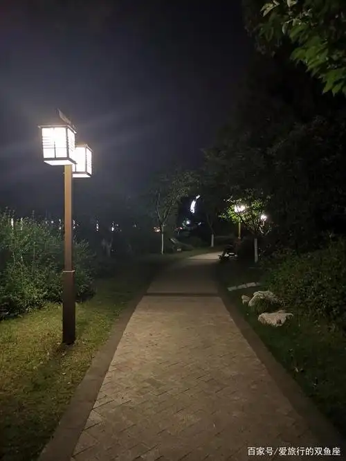 临安望湖公园,青山湖绿道起点,夜晚风景平淡却美好