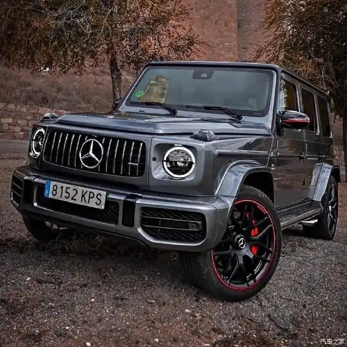 【图】超帅的奔驰大g,太漂亮了._奔驰amg论坛_汽车之家论坛