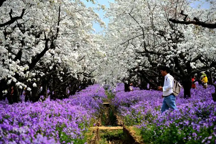 台山风景名胜区(三台山森林公园),是一个自然与人文相结合的大型景区