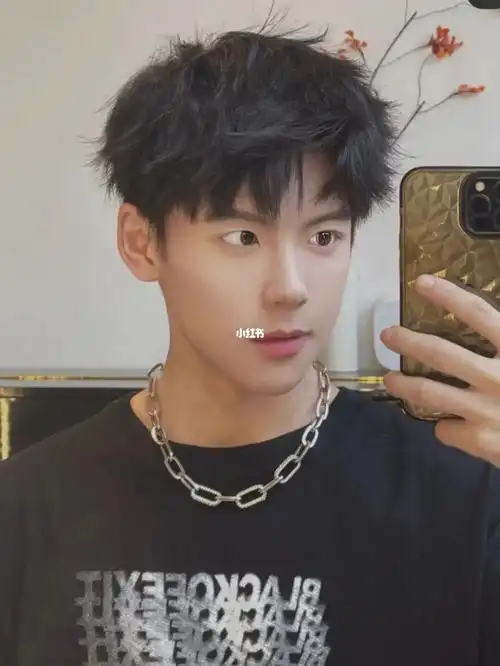 男生超帅超帅的发型钢夹烫