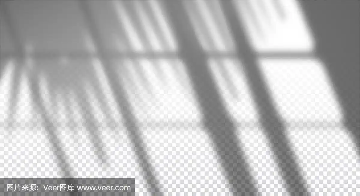 真实透明的窗户投影与棕榈枝在墙上,叠加效果的照片,设计展示.矢量图