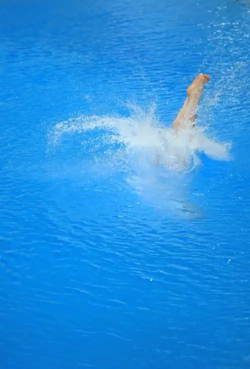 国际泳联世界跳水赛