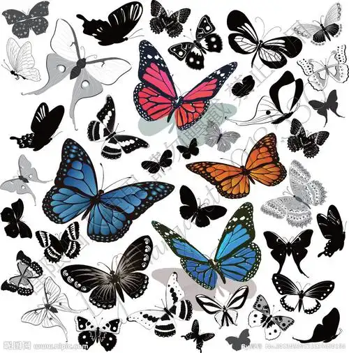 手绘蝴蝶大全图片