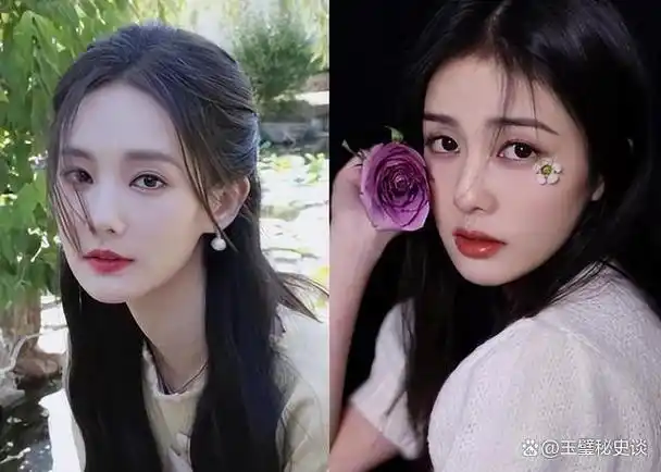 白鹿只比李一桐晚出道1年,但成名之路却和李一桐有着天壤之别.