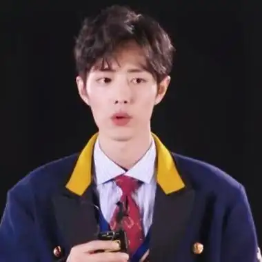 肖战粉丝小飞侠头像 头像图片大全 -【爱个性】