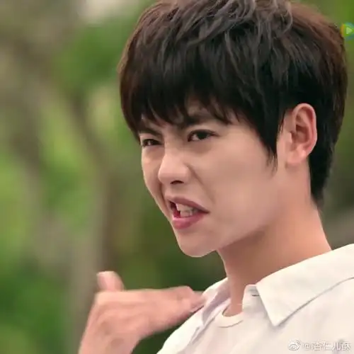 肖宇梁表情包超多图警告