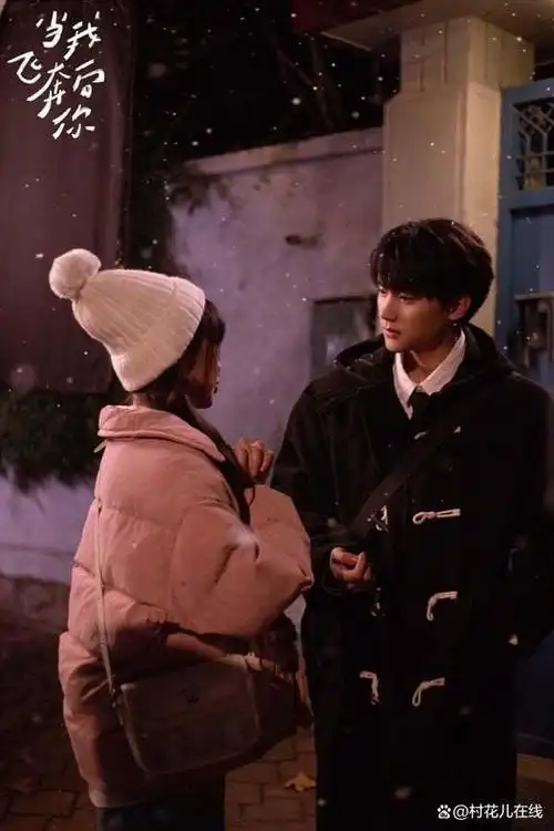 近1年小说改编甜宠剧评分top10在暴雪时分68分冠军达79