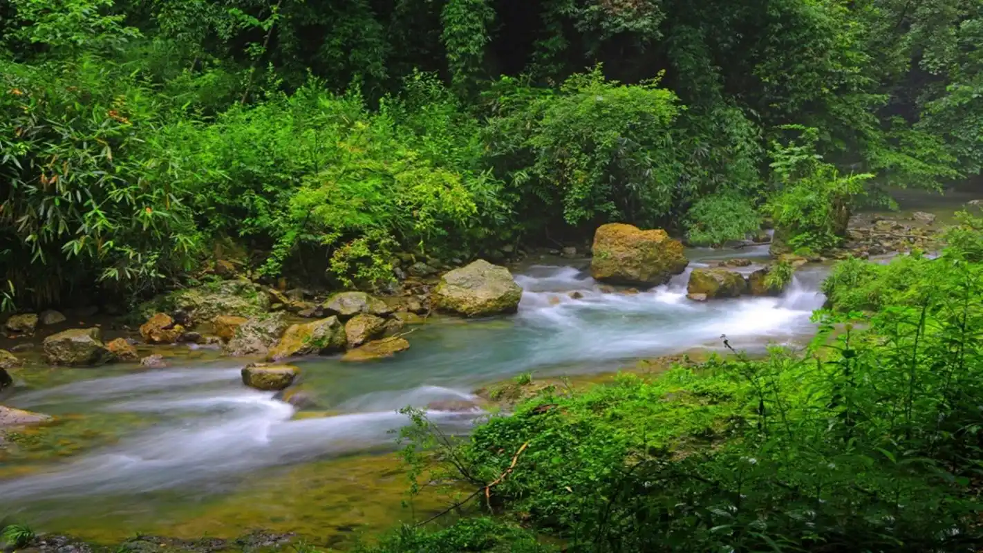 静谧山间溪流唯美自然风光高清壁纸-风景壁纸-手机壁纸下载-美桌网