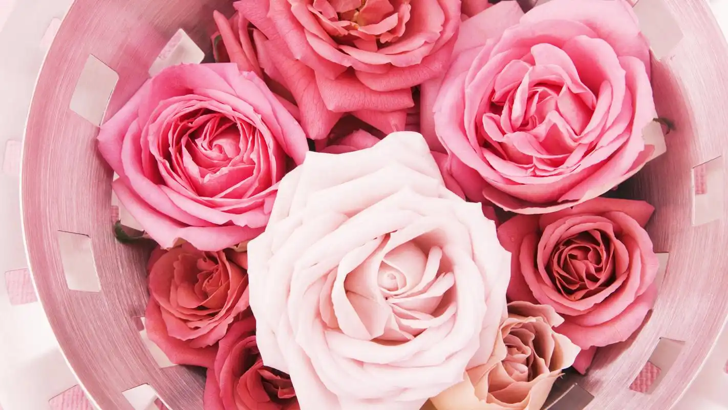 花束样式素材宽屏桌面壁纸二高清大图预览1920x1080_设计创意下载_美