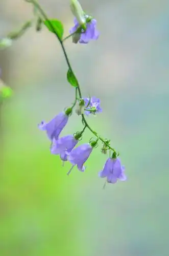 640_966竖版 竖屏