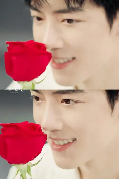 肖战与玫瑰花的适配度!