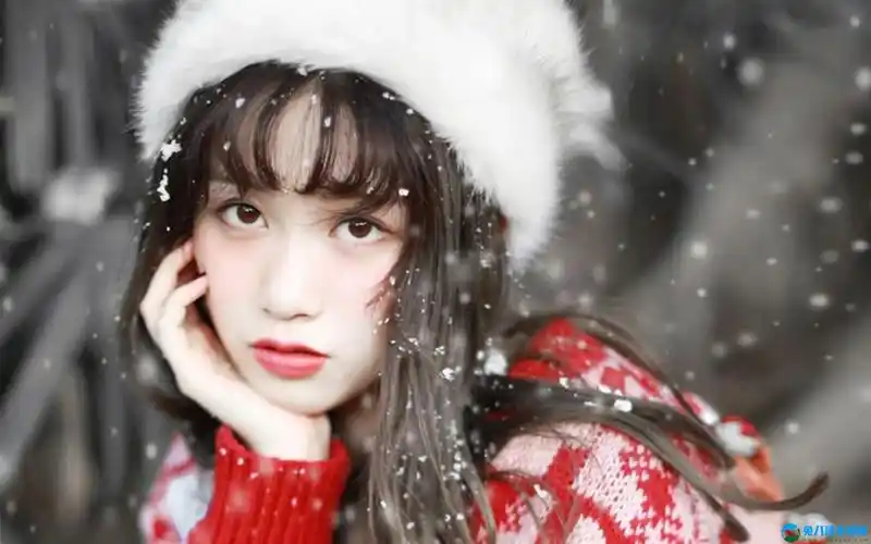 天下第一社区视频www下载永久免费版:主播专区也是免费进出!