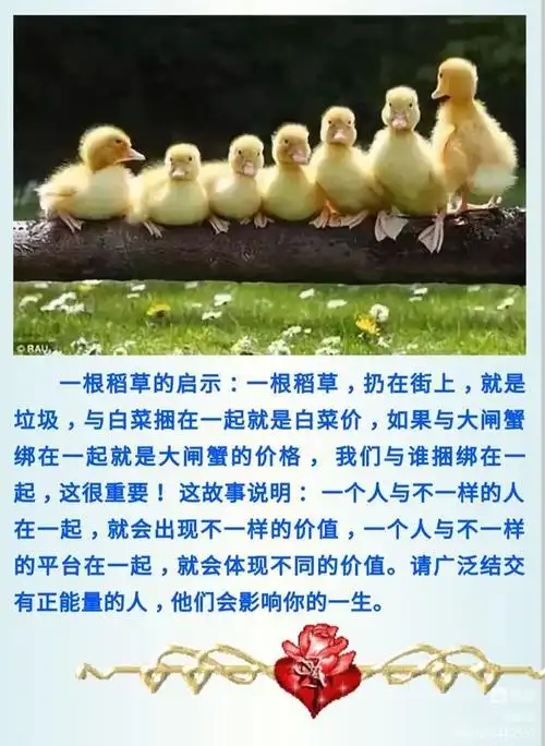 人生随笔(十八)