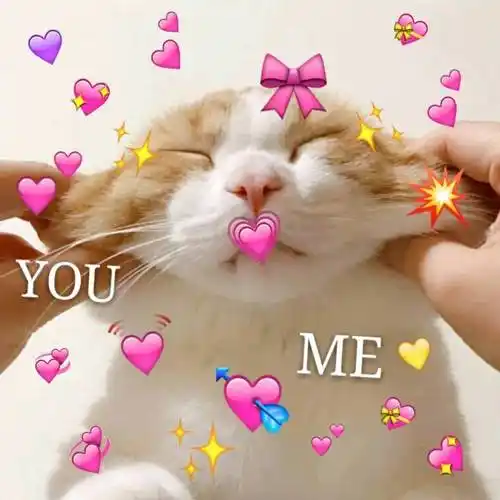 如果世界都有爱表情包