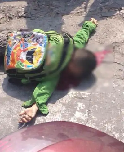 瑞安一男童上学途中遭校车碾轧 当场死亡(图)