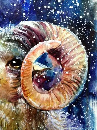 泼洒系列——《盘羊》(羊年)