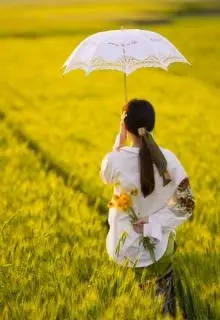 撑着小伞走在稻田间的少女背影唯美图片