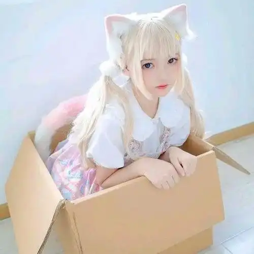 宅男被猫娘萌化催促自家猫咪快变身萌娘却被现实狠狠上了一课