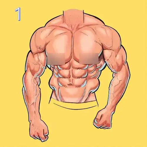 很多拥有这个形状胸肌的人,会想要自己的胸肌更方一些;第二方形