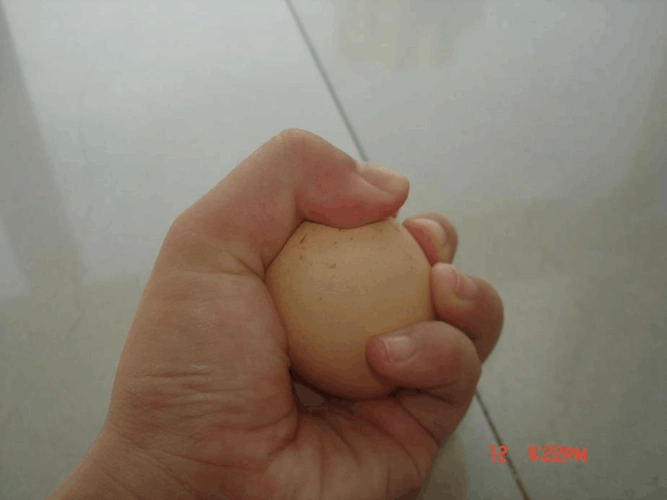 鸡蛋用手指捏得破吗 为什么捏不破