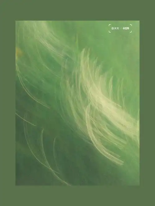 是世俗让它变了色#纯色 #纯色系壁纸 #壁纸  #全屏壁纸  #绿色系