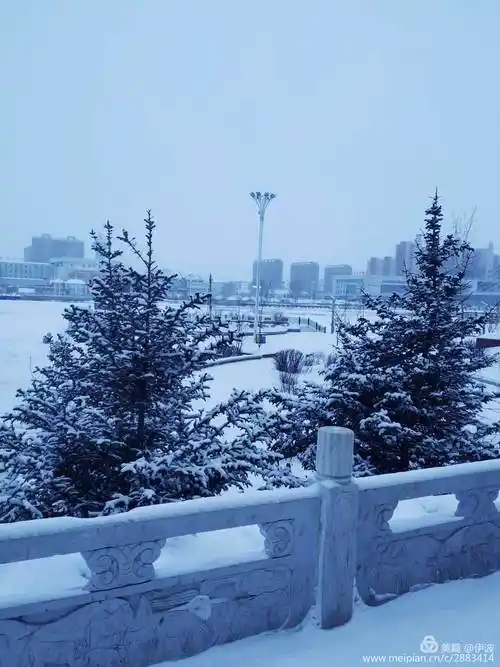 家乡海拉尔雪景