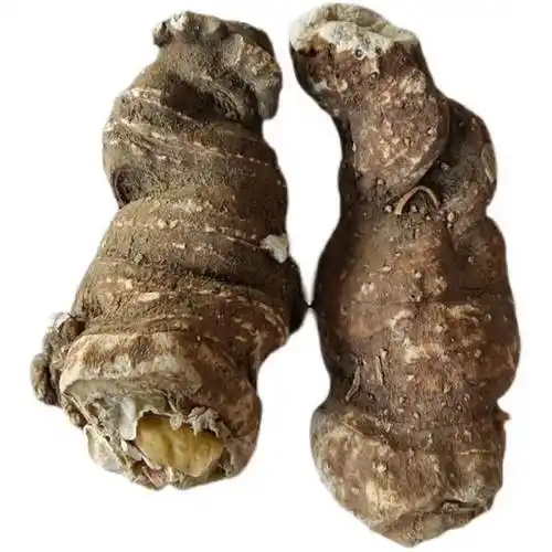 十年特级重楼中药材独角莲蚤休草干货50g 新鲜水洗大个250g【图片